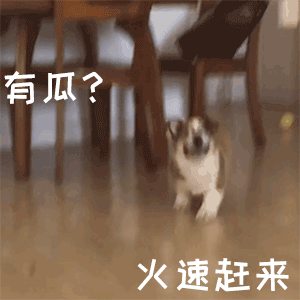 雅思