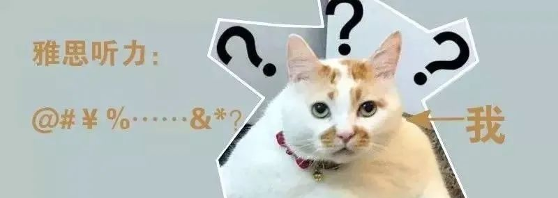 雅思