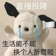 雅思