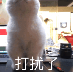 雅思