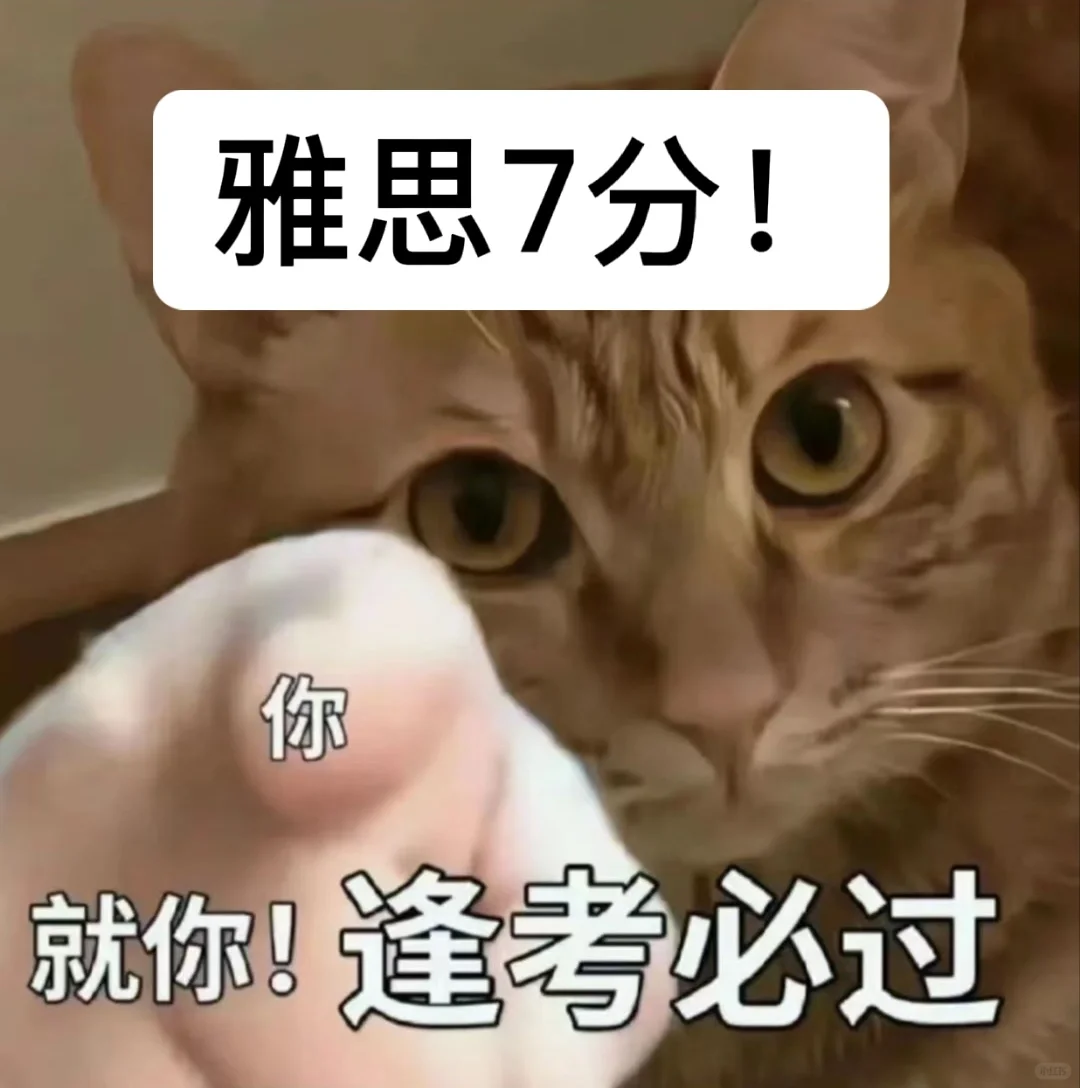 雅思