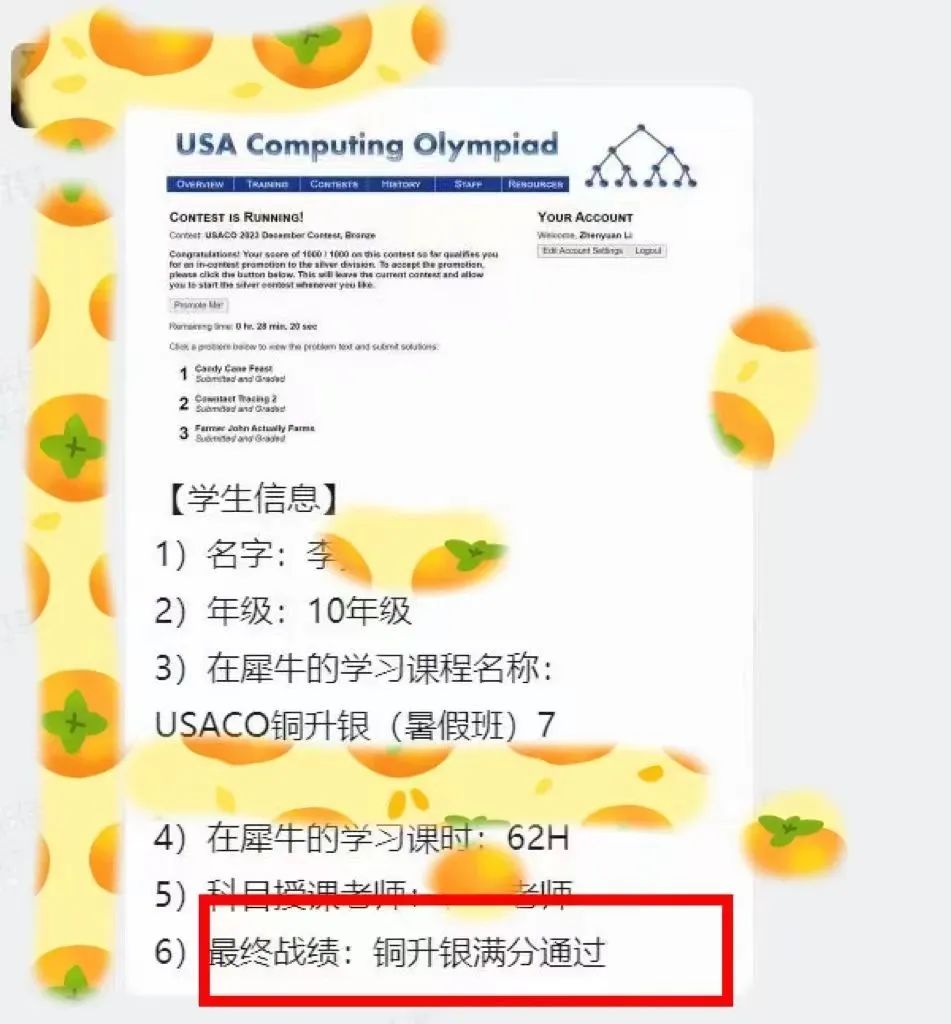 USACO计算机竞赛