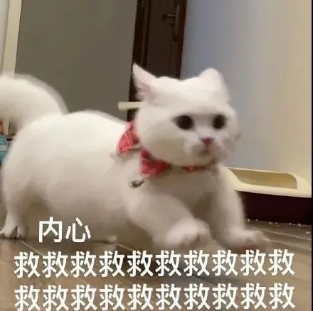 雅思