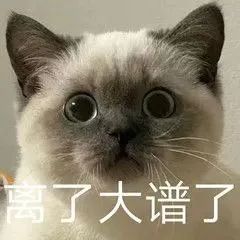 雅思