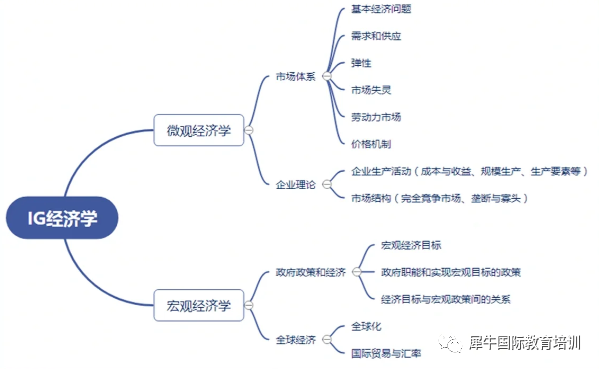 IGCSE经济