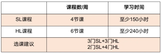 IB课程