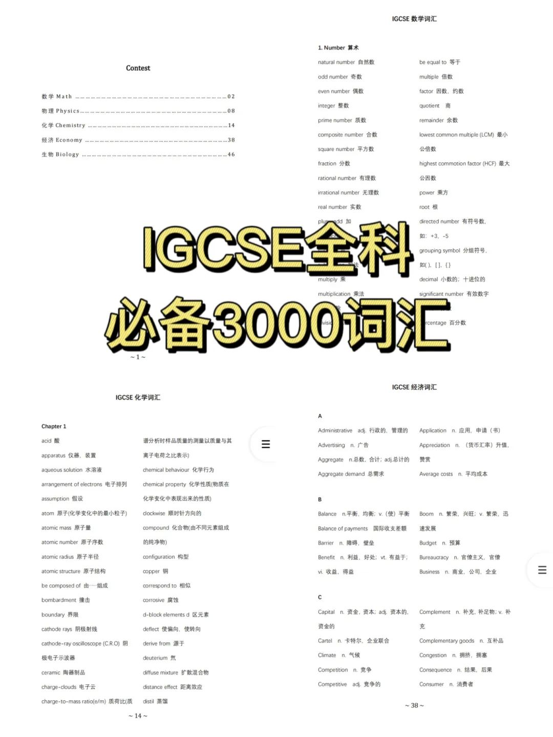 IGCSE课程