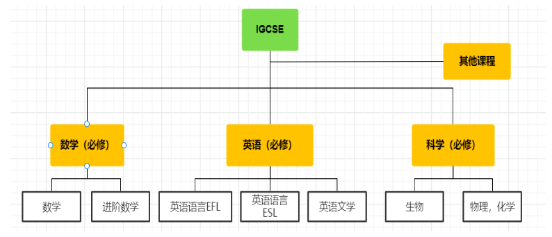 IGCSE课程