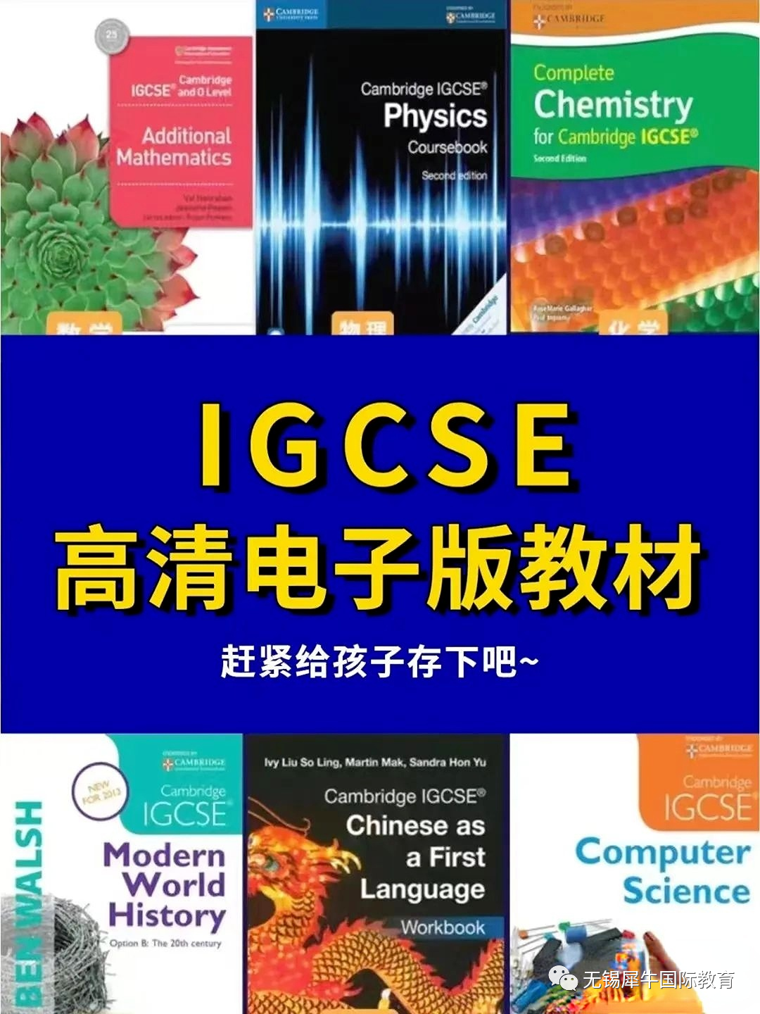 IGCSE课程