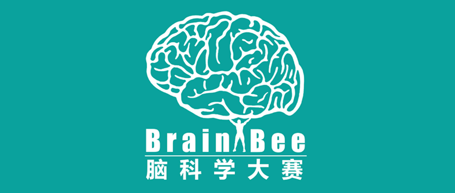 Brain Bee脑科学竞赛