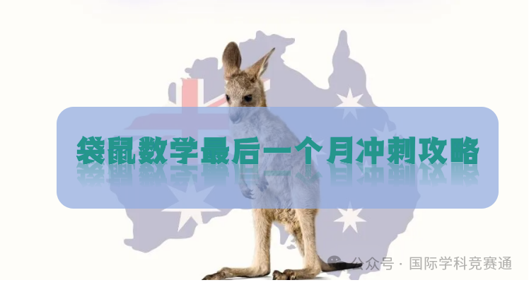 袋鼠数学竞赛