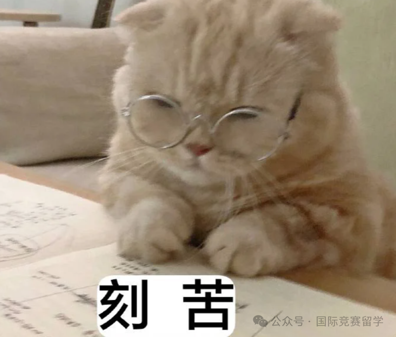 上海三公