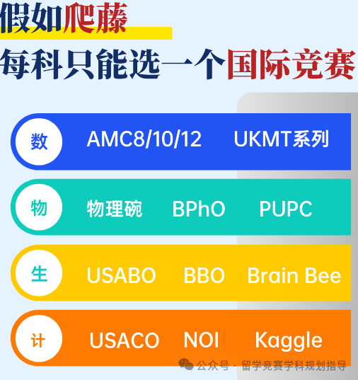 USACO竞赛