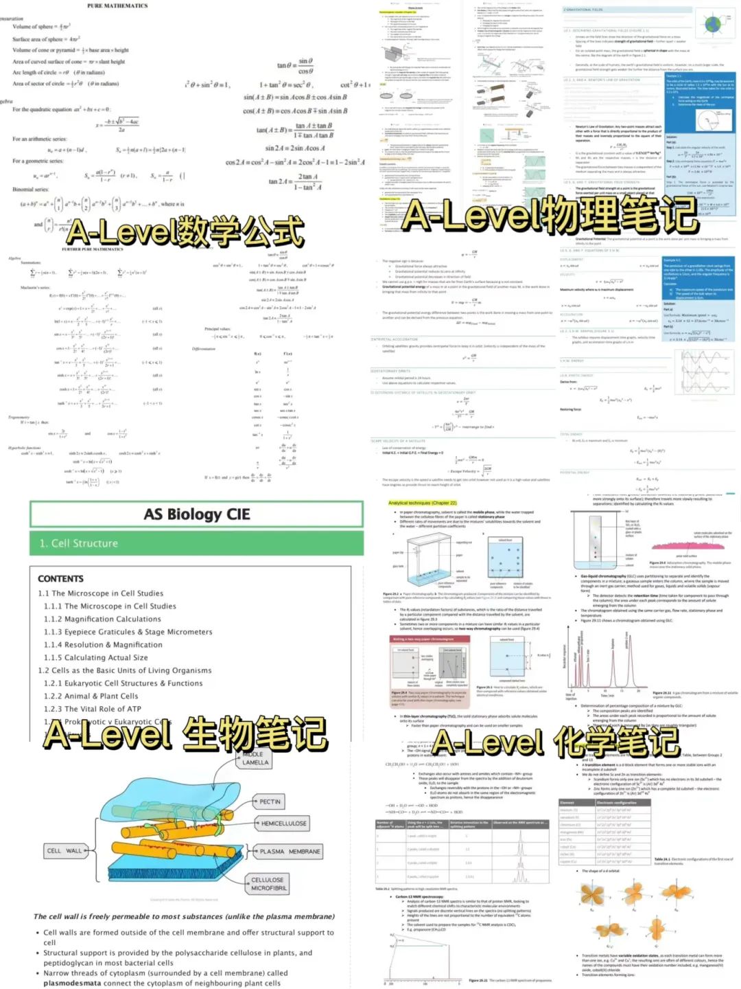 Alevel考试