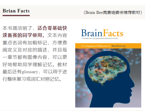 BrainBee脑科学竞赛