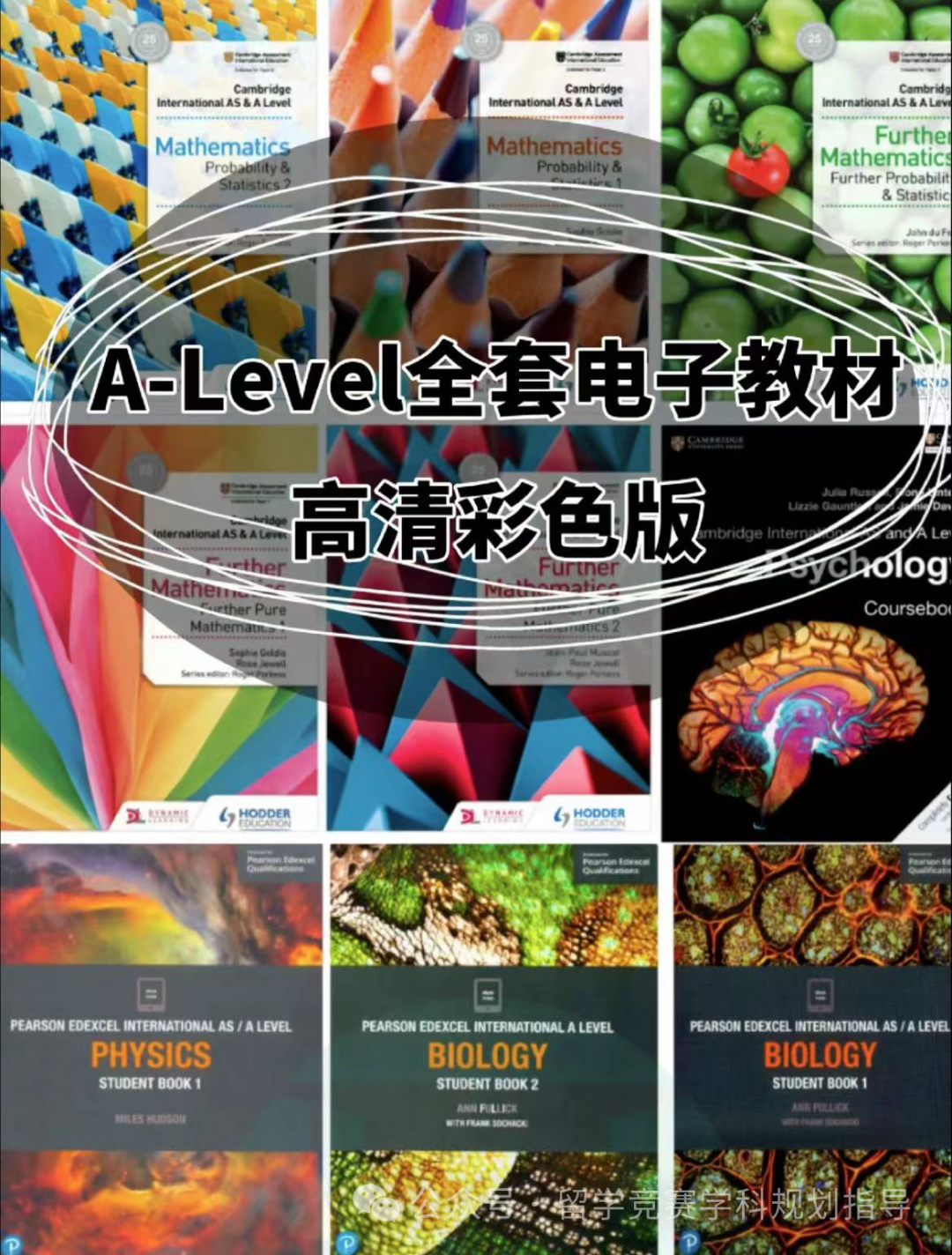 ALevel经济