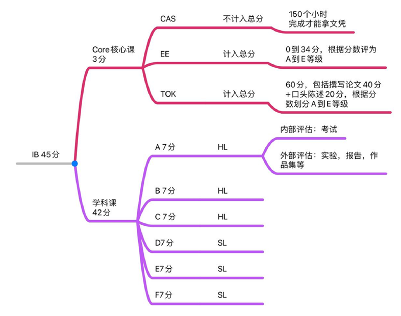 IB课程