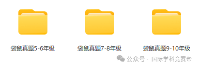 袋鼠数学竞赛