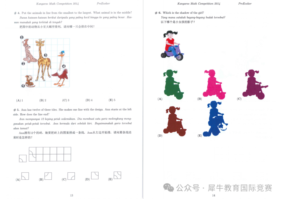 袋鼠数学竞赛