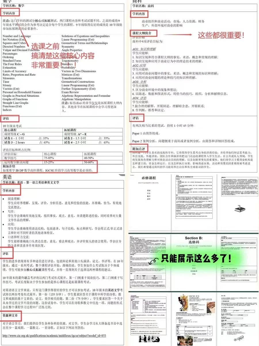 IGCSE课程
