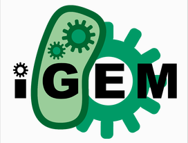 iGEM竞赛
