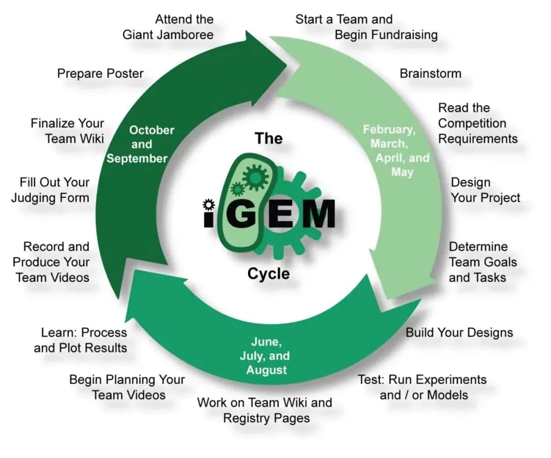 IGEM竞赛
