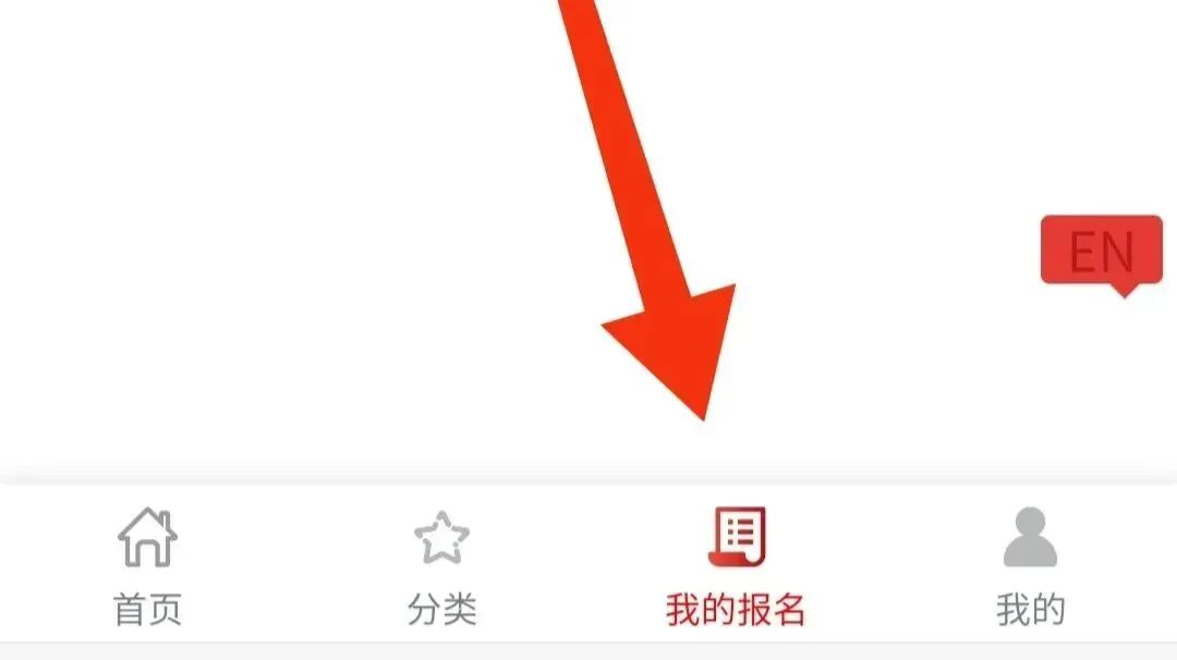 袋鼠竞赛
