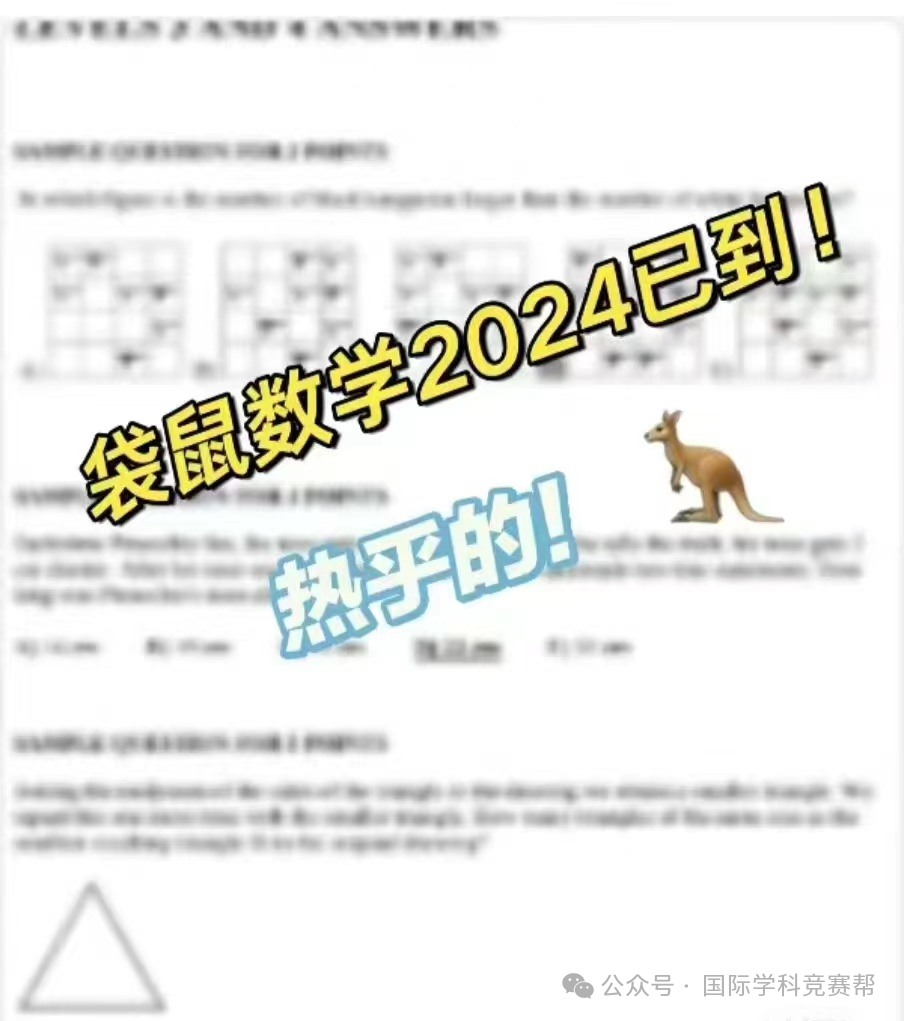 袋鼠数学竞赛