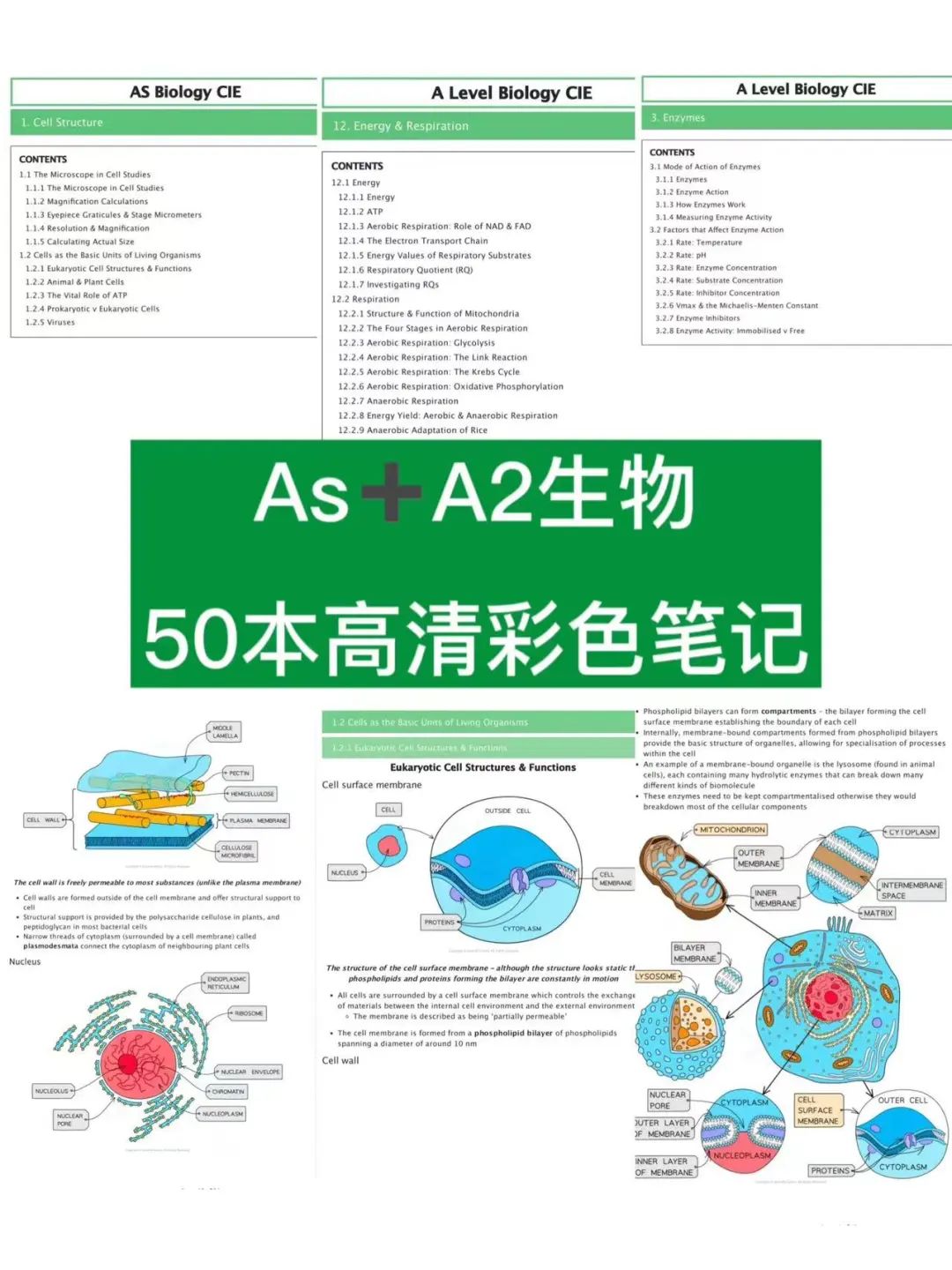 A-level