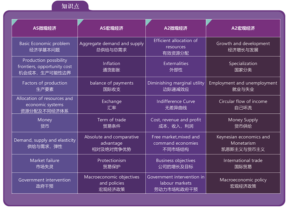 ALevel经济