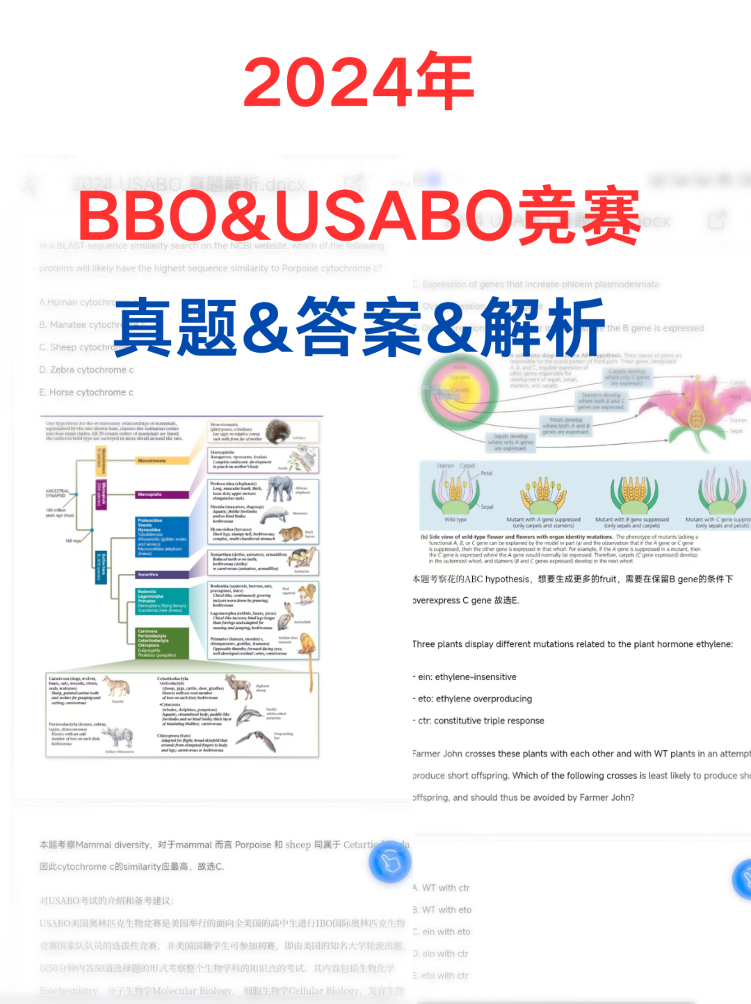 BBO生物竞赛