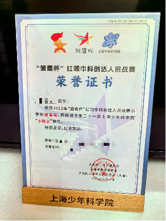 雏鹰杯