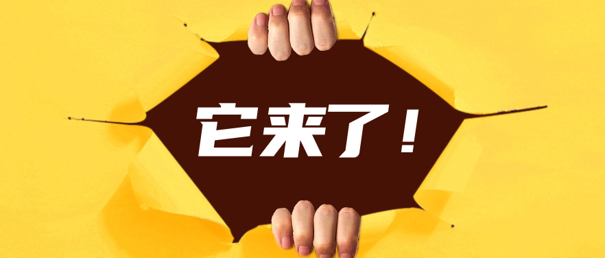 上海三公