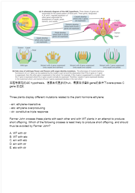 USABO生物竞赛,USABO美国生物奥赛,USABO生物竞赛辅导课程,USABO生物竞赛考察内容,BBO国际生物竞赛,BBO备考书籍,BBO培训课程,BBO国际生物竞赛,BBO备考书籍,BBO培训课程,