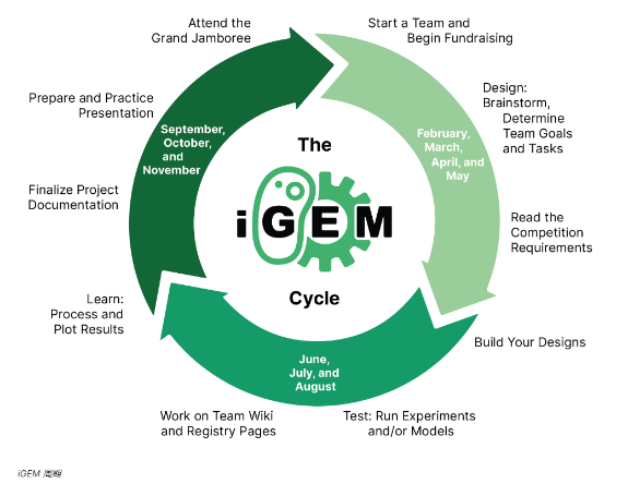 iGEM大赛