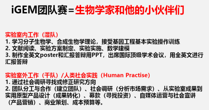 iGEM比赛