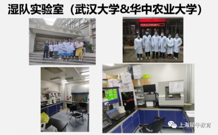 iGEM比赛