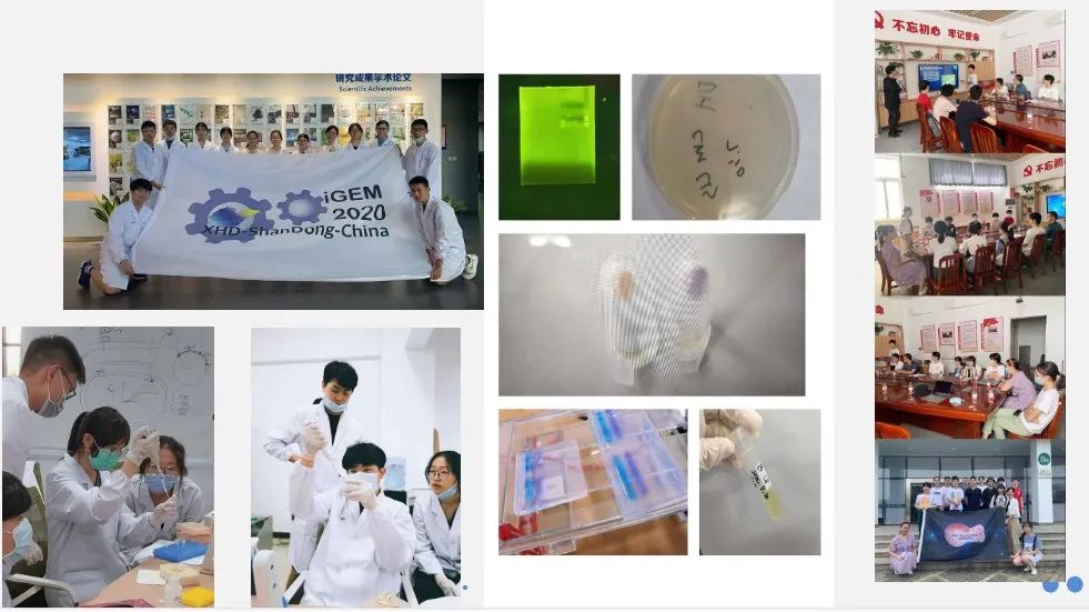 iGEM国际遗传工程机器设计大赛
