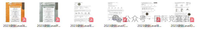 袋鼠数学竞赛
