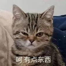 AMC8数学竞赛