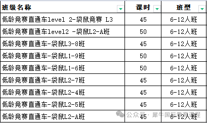 袋鼠数学竞赛