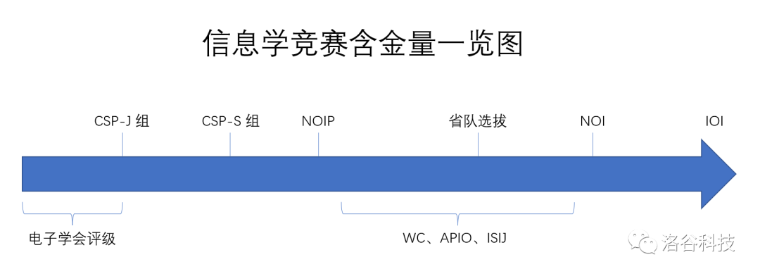 信奥赛