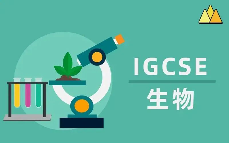 IGCSE课程