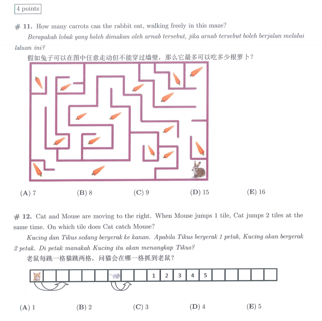 袋鼠数学竞赛
