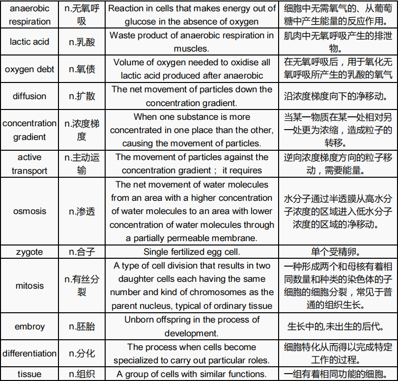 IGCSE课程