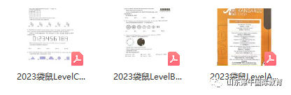 袋鼠数学竞赛