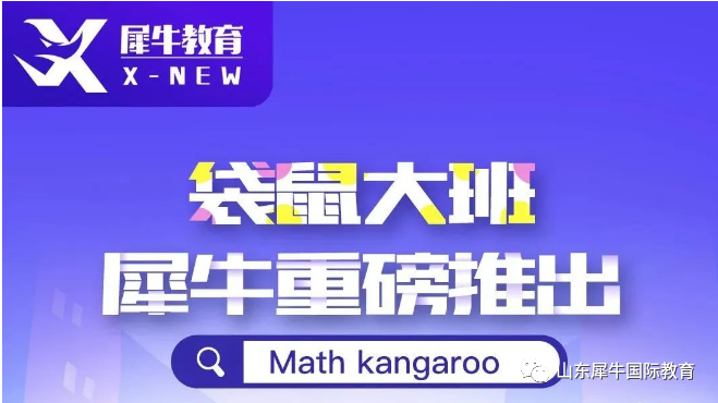 袋鼠数学竞赛