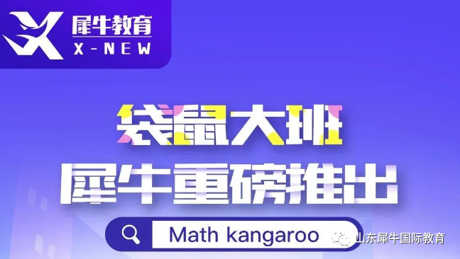 袋鼠数学竞赛