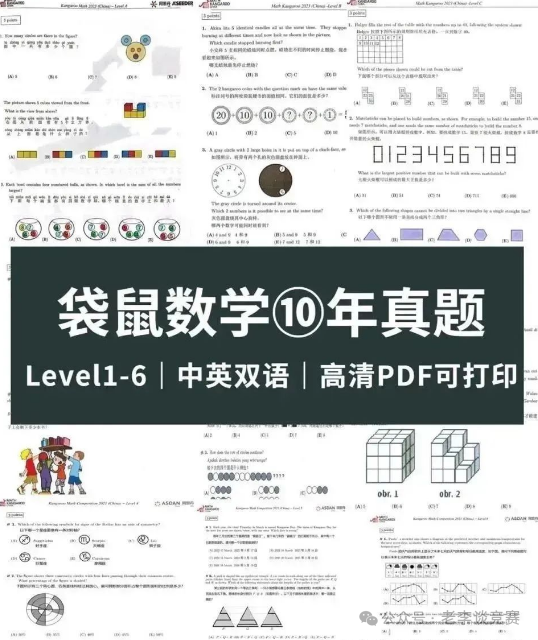 袋鼠数学竞赛
