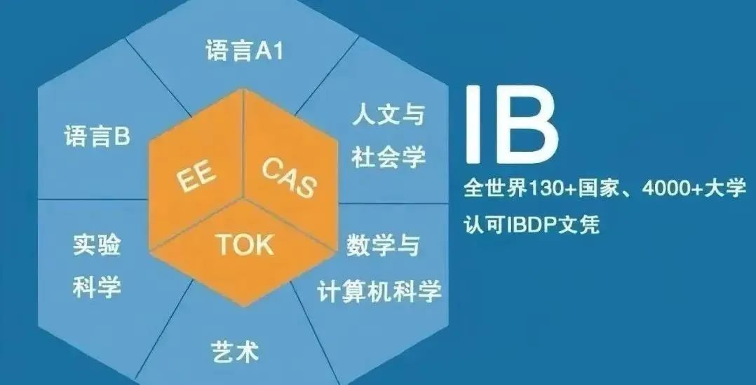 IB课程